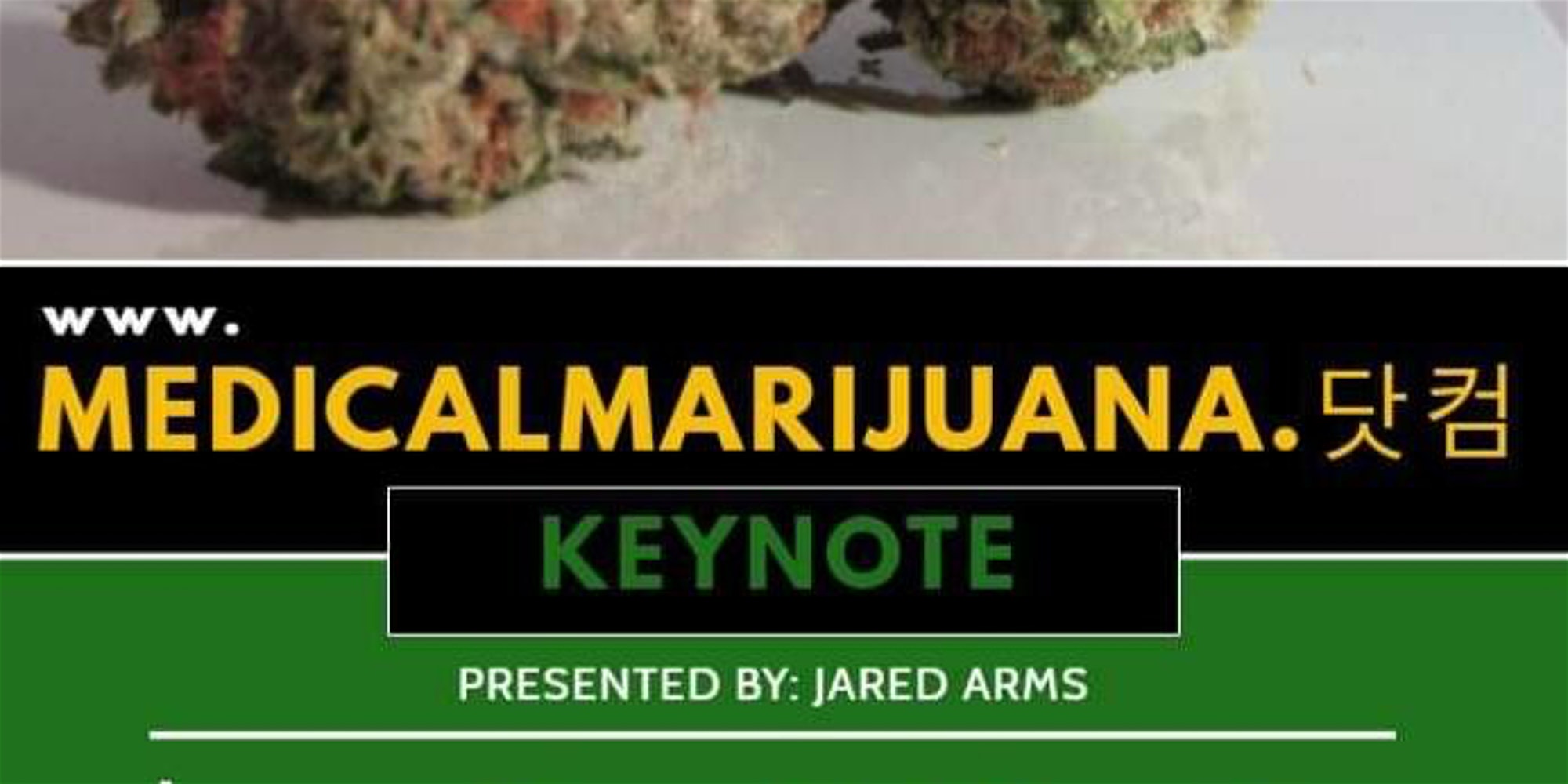 Medical Marijuana Keynote Address Featuring KYLAR IO CEO Jared Arms